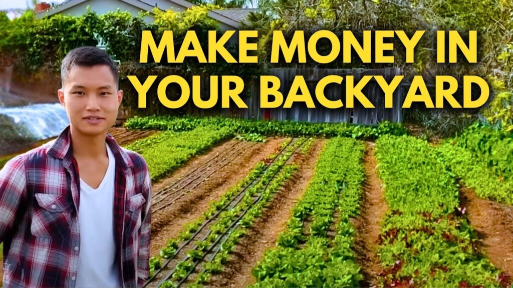 First year farmer: how to start a small farm