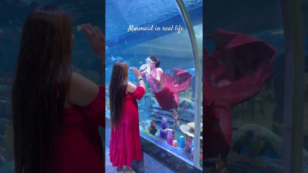 Mermaid show | bangalore | aquarium | trending #shorts #trendinginbangalore
