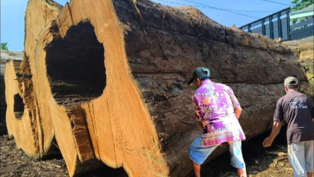 The man almost lost his life while cutting sacred wood