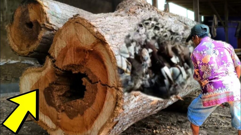 Disappointed incident while sawing the damage wood at sawmill