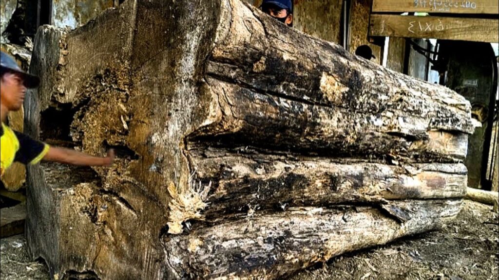 Finding the worst in big old log at sawmill