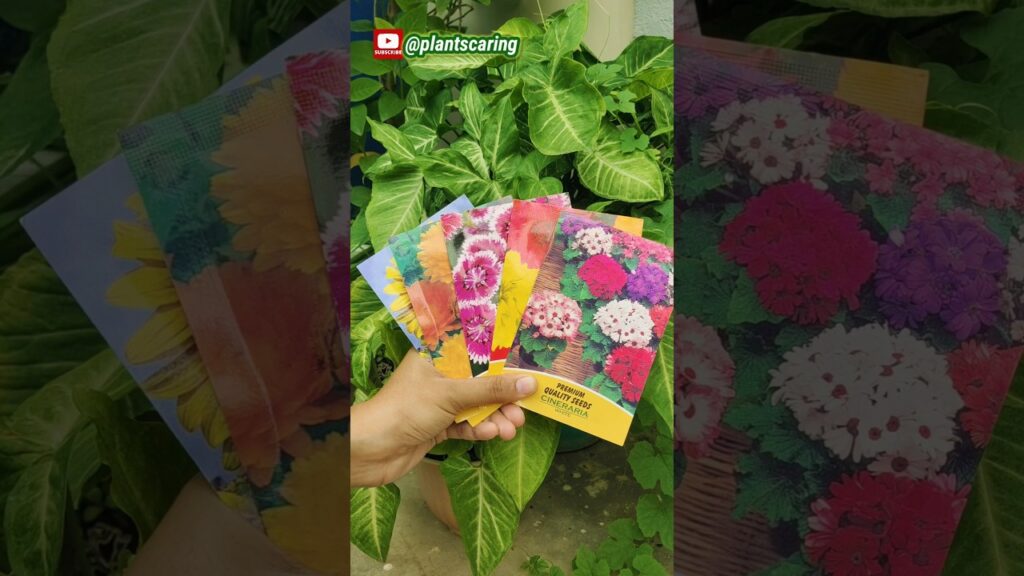 🌱 सितंबर में लगाए जाने वाले 5 फूलों के पौधे । top 5 flowering plants to grow in september 🍃 #viral