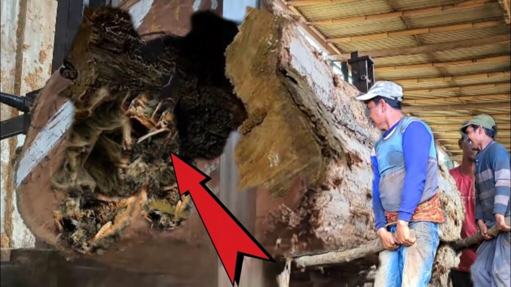 271 seconds before disaster || this broken log nearly destroyed a sawmill