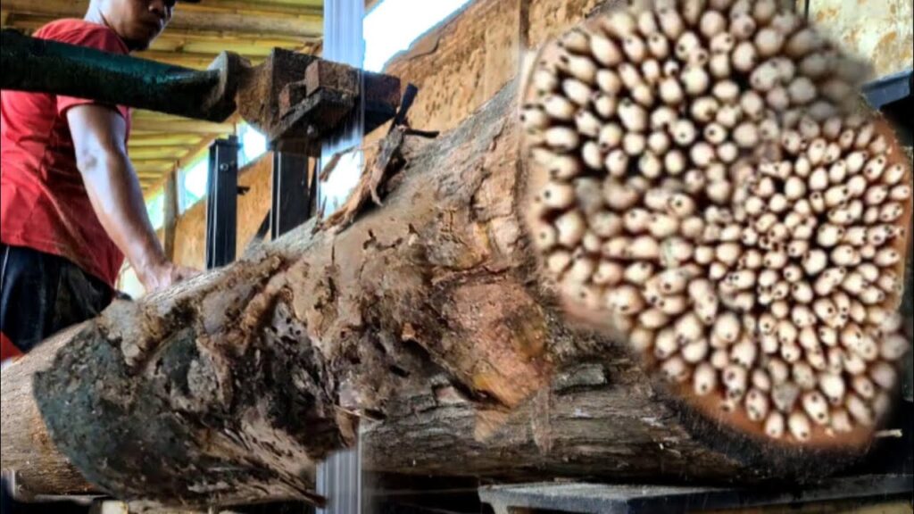 Dangerous!! What this woodworker did was very fatal at sawmill
