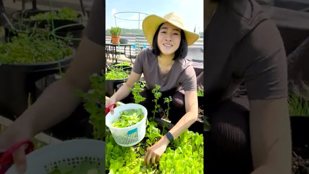 Do i feel behind because i quit my job to start a business? #shorts