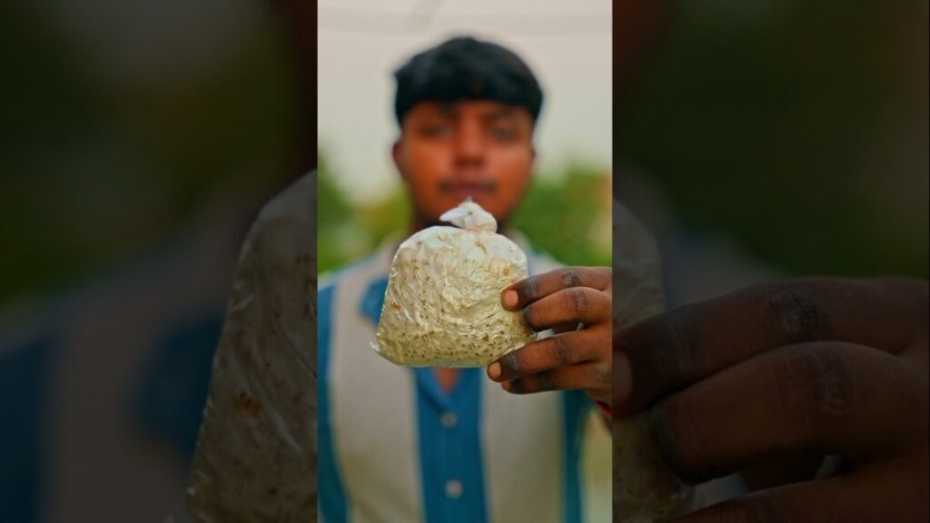 Grow Mushrooms In ₹69. #Mushroom #Mushroomspawn | On Djs4Hire.com 4 Grow mushrooms in ₹69. #mushroom #mushroomspawn