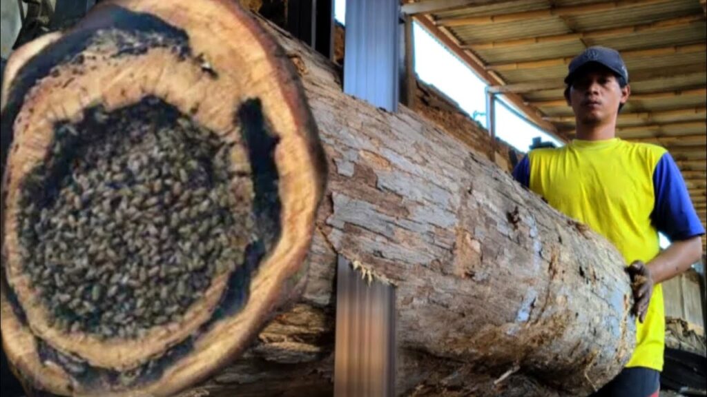 Strange find in teak wood!! Hidden cavity revealed during sawing process