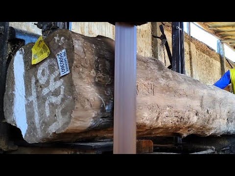 The most amazing cutting skill dry teak wood - sawmilling process