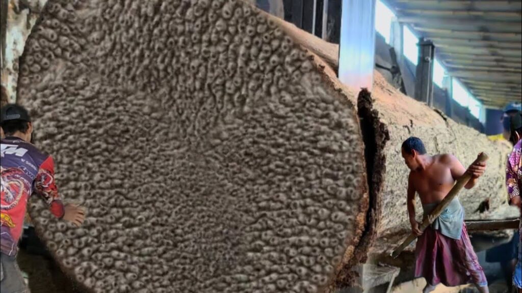 A terrifying giant sawmill full of lumps