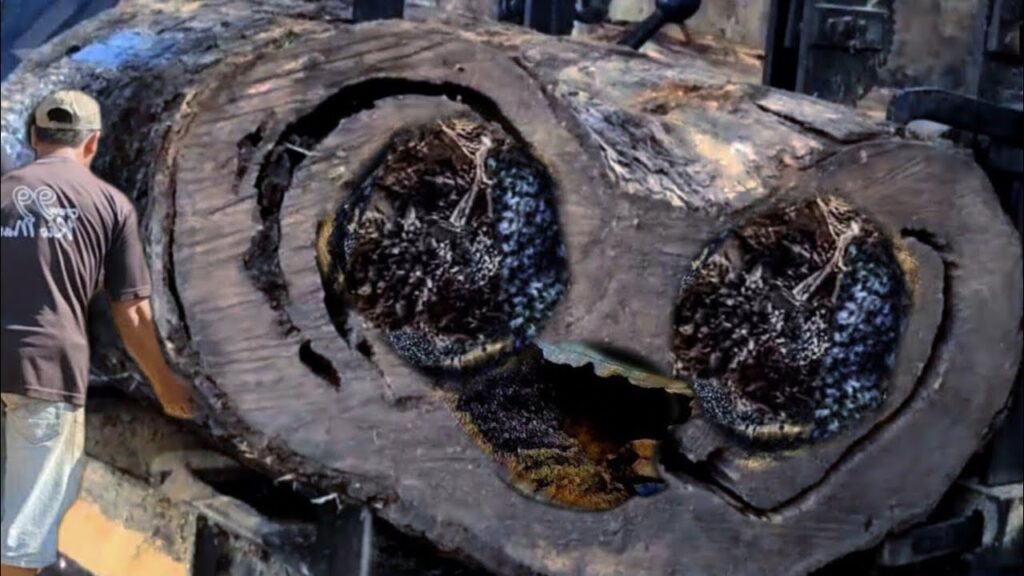 Almost killed all the workers! Hidden attack during hollow sawing logs in sawmill