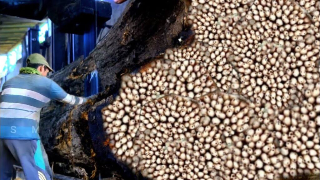 Deadly black shadow!! Cutting big wood full of horror in the sawmill