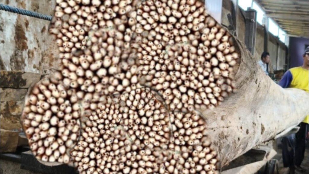 Fail,moment the broken log destroyed biggest project at sawmill