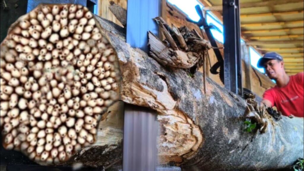 Horrifying incident!! Stone wood attacks on sawmill table