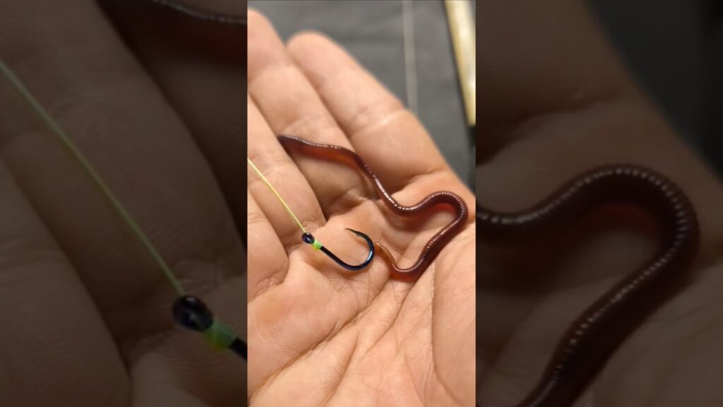 How to install fishing bait #shorts #fishing #tutorial