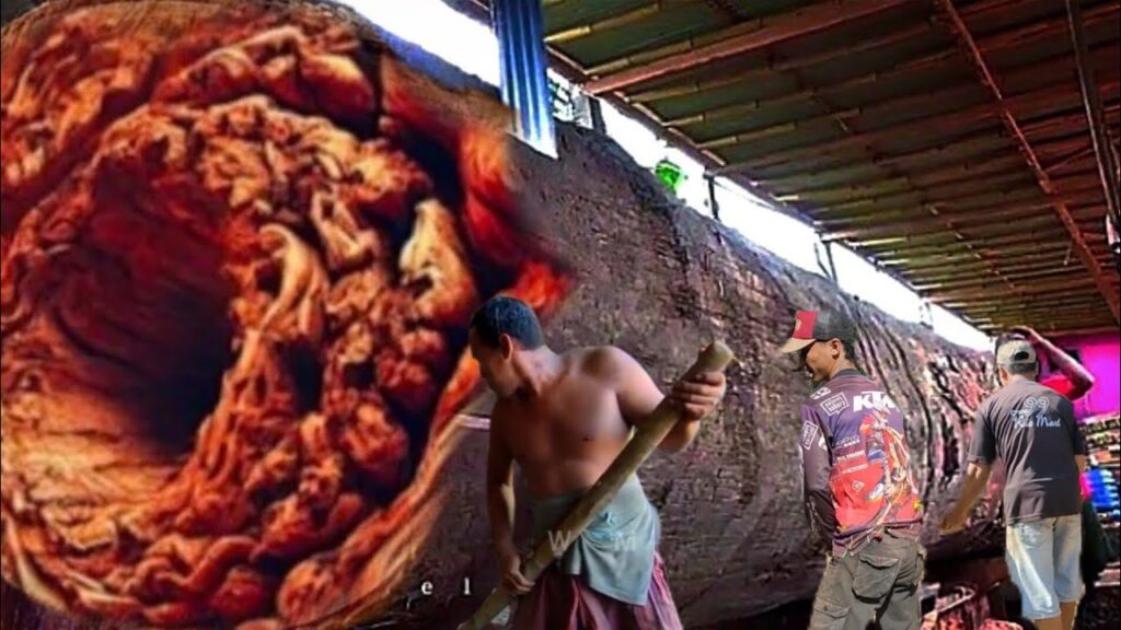 Scared,, we spent 1 billion to get this beautiful wood || sawmill