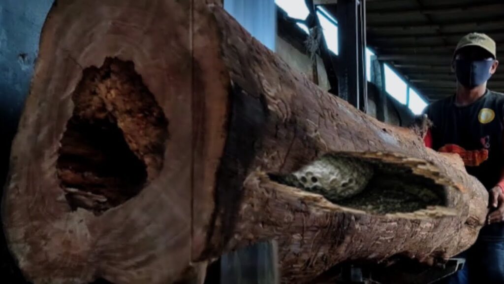 Scary, this is the rare wood on the world and is difficult to find at sawmill