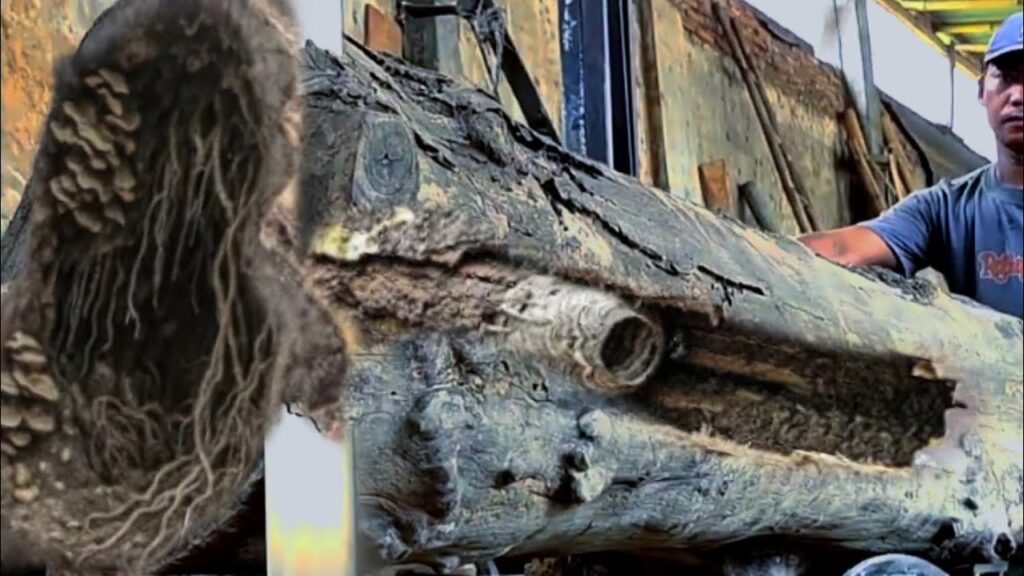 Shocking! The contents of this teak wood stunned everyone. What was it?