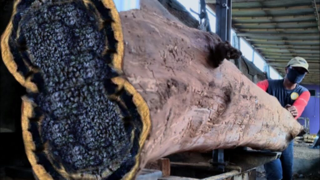 Shock,it was just revealed the wood soaked 12 years ago can finally be split