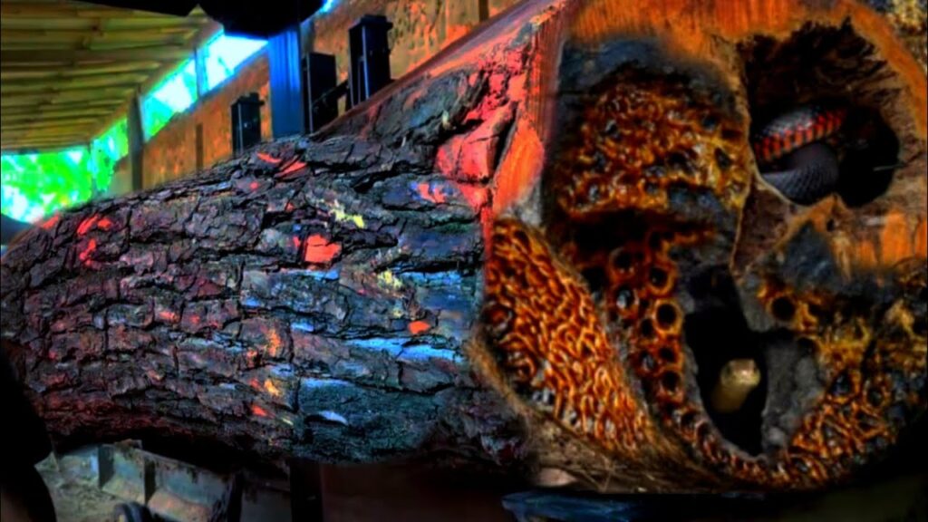 Tragic incident occurred while sawing large mahogany log,that was sacred to the local people!