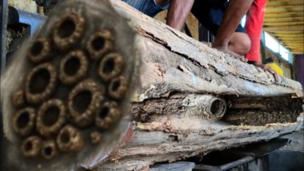 What a shock!! Look what happened,sawing teak wood look rotten which is very dangerous