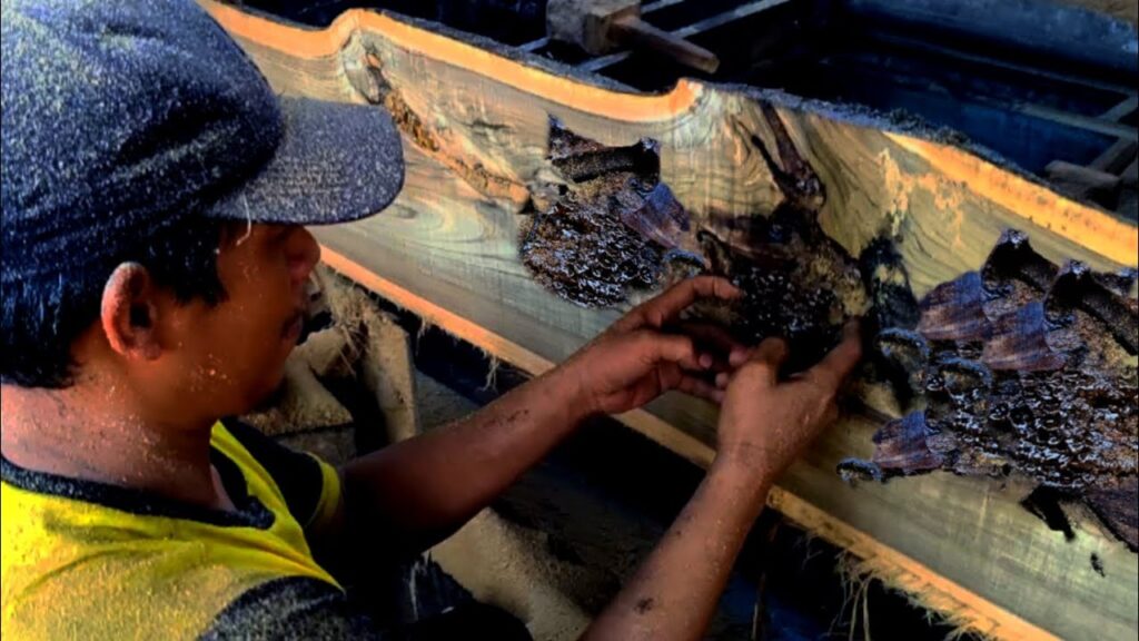 Shocking,this hollow wood inhabited disgusting creatures!! Make woodworker nausea