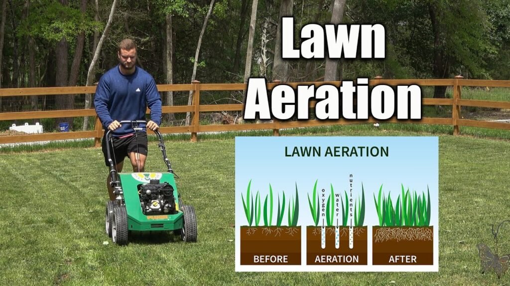 Aerating lawns when it's done and why