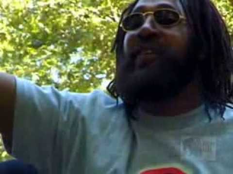 Kool dj herc - gangs were terrorizing the clubs