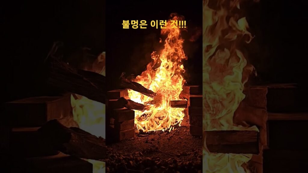 불멍의 아름다움~ #불멍 #굿모닝선샤인 #연인과함께